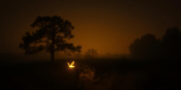 blink and it’s gone