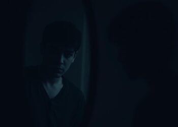 the stranger in the mirror