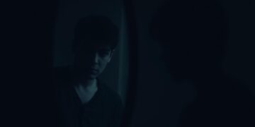 the stranger in the mirror