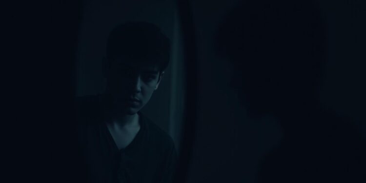 the stranger in the mirror